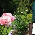 Wald Uessbach Apartament Alf