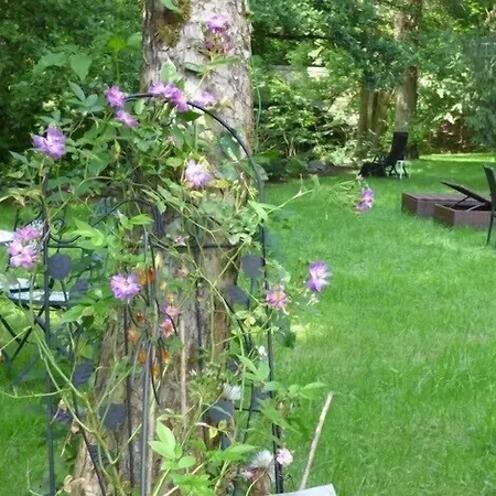 Wald Uessbach Apartament