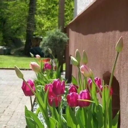 Lägenhet Wald Uessbach Alf