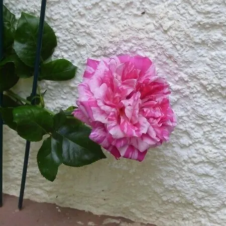 Apartamento Wald üssbach Alf