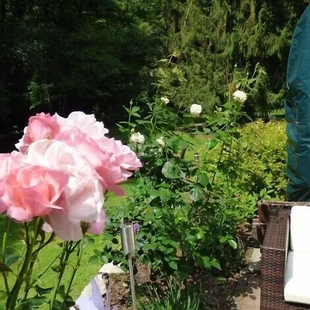 Wald Uessbach アパート アルフ