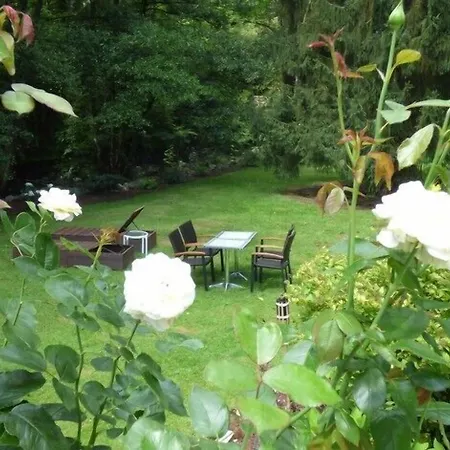 Wald üssbach Apartamento *