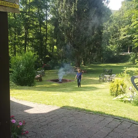 Wald Uessbach Daire