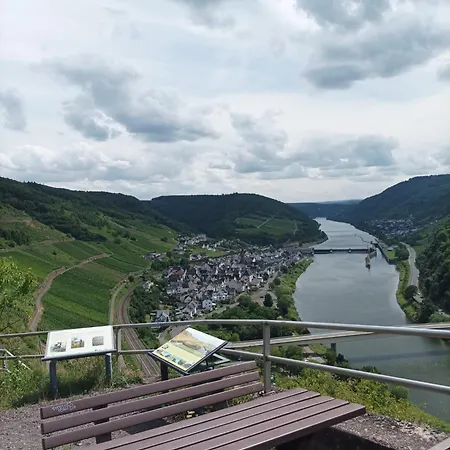 Wald Uessbach アルフ