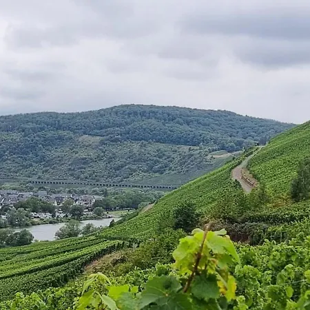 Wald Uessbach * アルフ