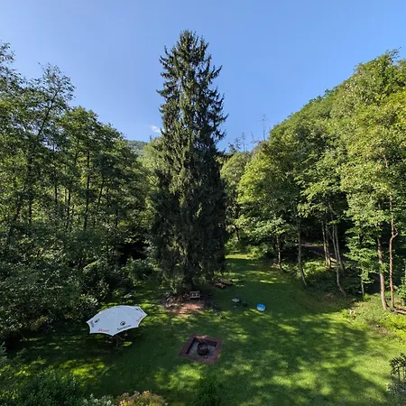 Wald Uessbach Daire