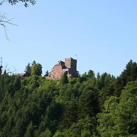 شقة Wald Uessbach *