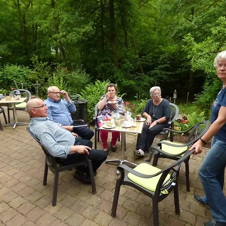 Wald Uessbach Alf