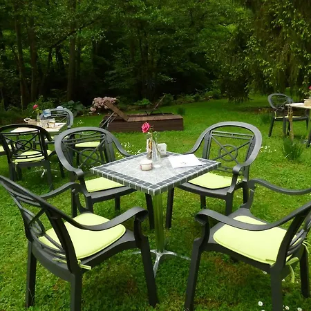 Wald Uessbach *