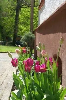 Apartment Wald Uessbach