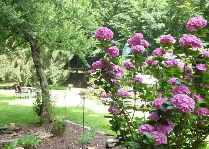 Wald Uessbach * Альф