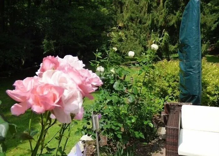 Wald Uessbach Апартаменты Альф