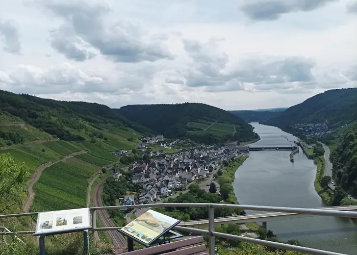 Wald Uessbach Альф