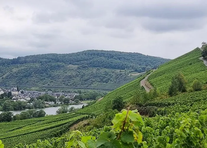 Wald Uessbach * Альф